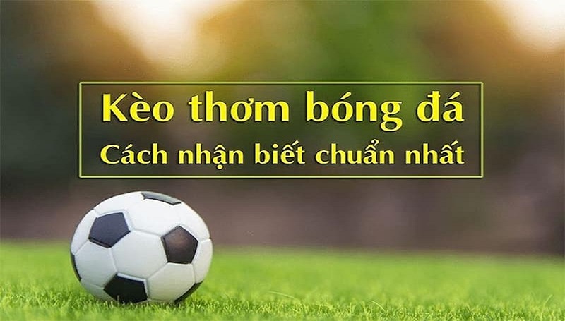 3 cách nhận biết kèo 
