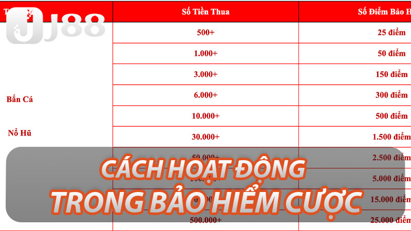 Cách hoạt động trong bảo hiểm cược