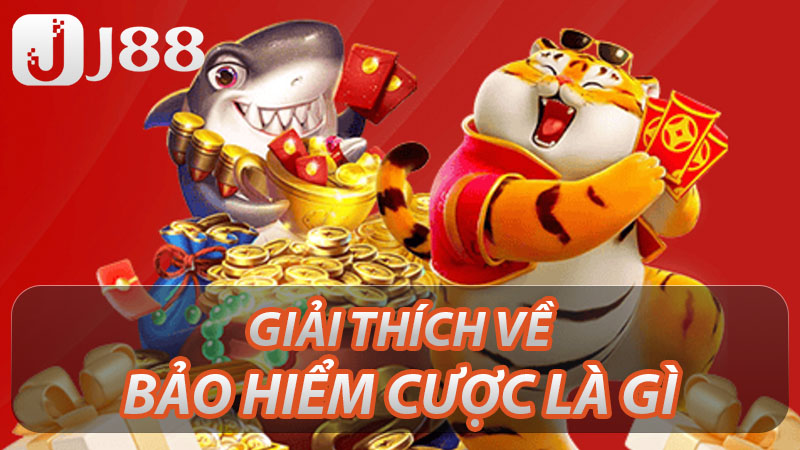 Giải thích về bảo hiểm cược