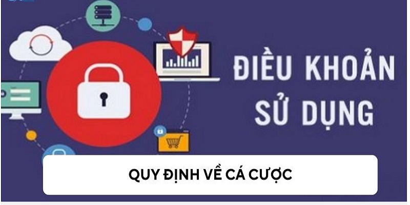 Quy định cá cược rõ ràng