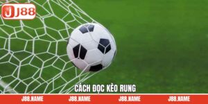 Đọc bảng kèo siêu đơn đơn giản cùng J88
