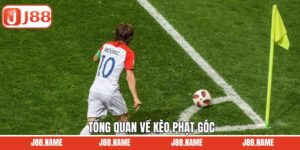 Khái niệm chung vài nét về hình thức cá độ thú vị